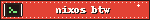 nixos btw